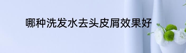 哪种洗发水去头皮屑效果好