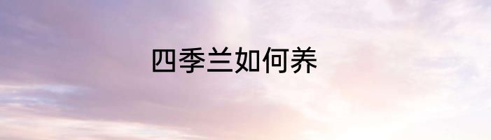 四季兰如何养