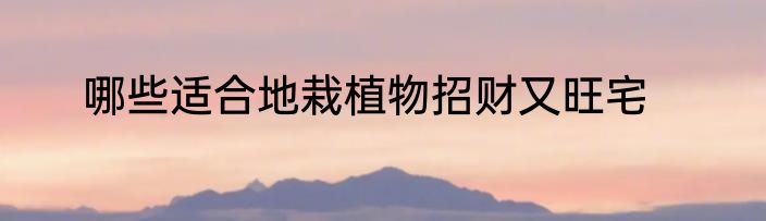 哪些适合地栽植物招财又旺宅