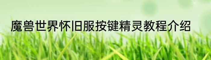魔兽世界怀旧服按键精灵教程介绍