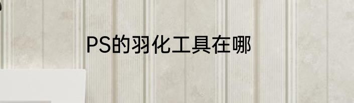 PS的羽化工具在哪