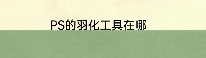 PS的羽化工具在哪