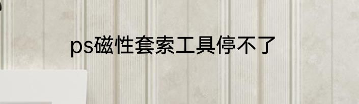 ps磁性套索工具停不了