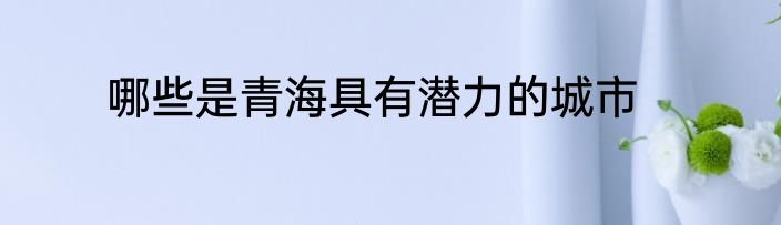 哪些是青海具有潜力的城市