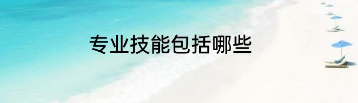 专业技能包括哪些