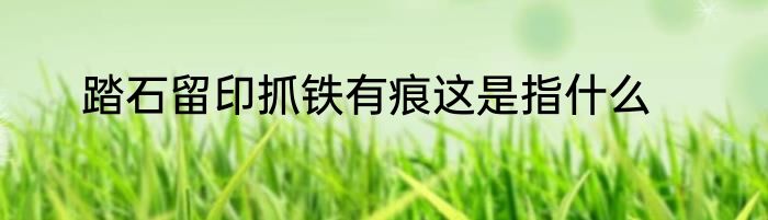 踏石留印抓铁有痕这是指什么