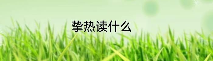 挚热读什么