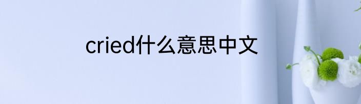 cried什么意思中文