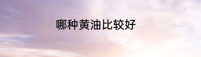 哪种黄油比较好