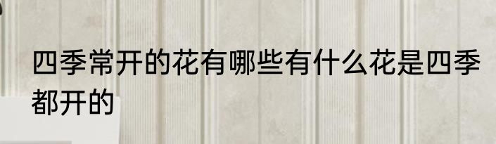 四季常开的花有哪些有什么花是四季都开的