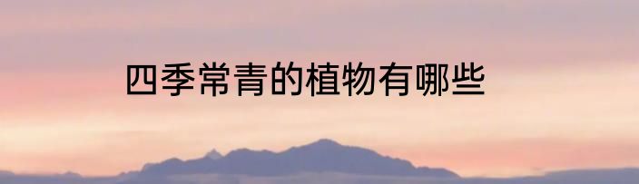 四季常青的植物有哪些