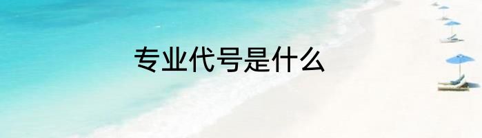专业代号是什么
