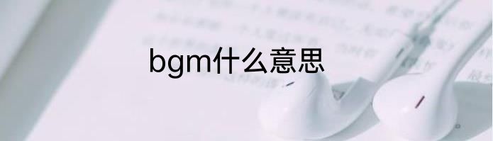 bgm什么意思