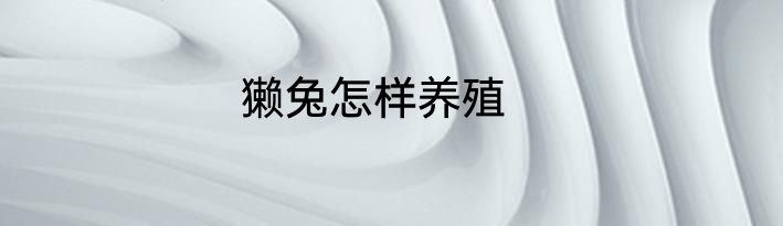 獭兔怎样养殖
