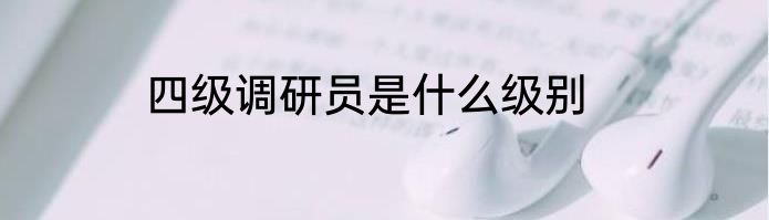四级调研员是什么级别