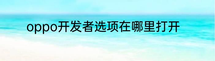oppo开发者选项在哪里打开