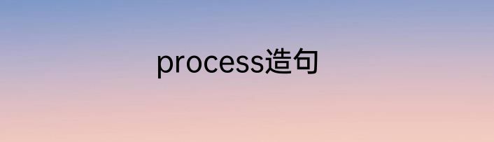process造句