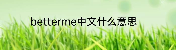 betterme中文什么意思