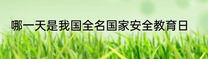哪一天是我国全名国家安全教育日