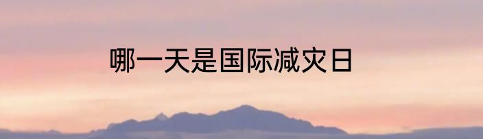 哪一天是国际减灾日