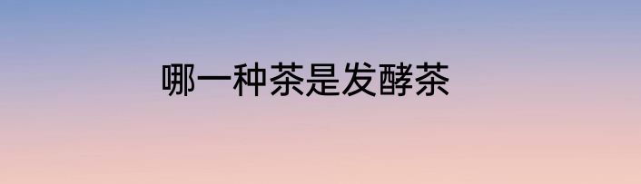 哪一种茶是发酵茶