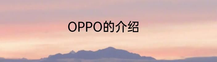 OPPO的介绍