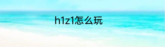 h1z1怎么玩