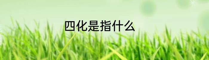 四化是指什么