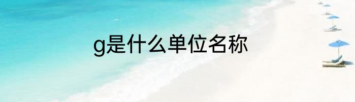 g是什么单位名称