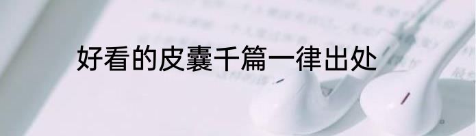 好看的皮囊千篇一律出处