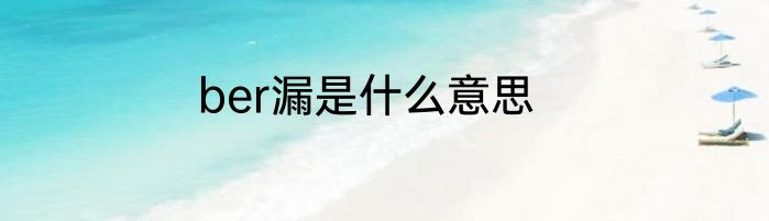ber漏是什么意思