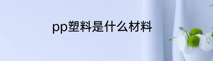 pp塑料是什么材料