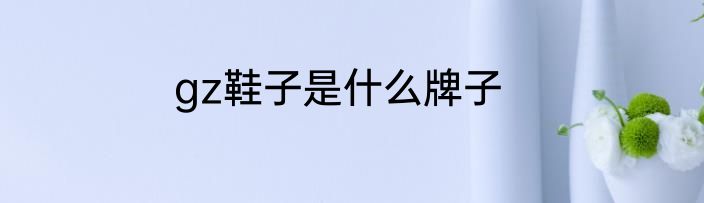 gz鞋子是什么牌子