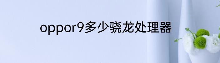 oppor9多少骁龙处理器