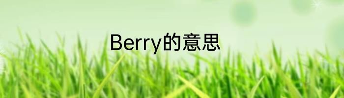 Berry的意思
