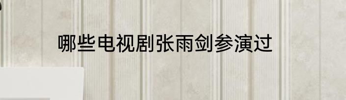 哪些电视剧张雨剑参演过