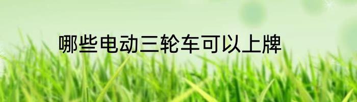 哪些电动三轮车可以上牌