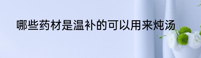 哪些药材是温补的可以用来炖汤