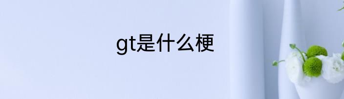 gt是什么梗