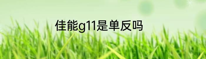 佳能g11是单反吗