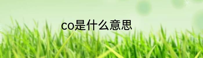 co是什么意思