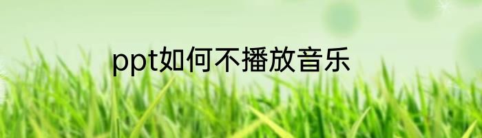 ppt如何不播放音乐