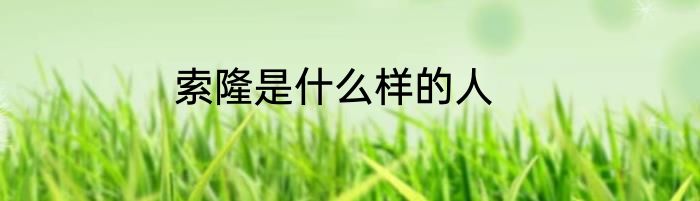 索隆是什么样的人