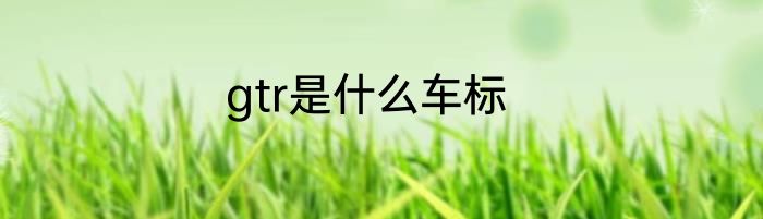 gtr是什么车标