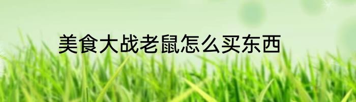 美食大战老鼠怎么买东西