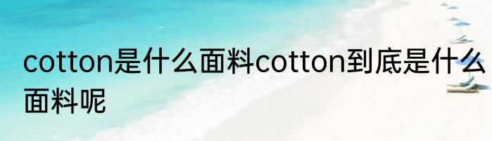 cotton是什么面料cotton到底是什么面料呢