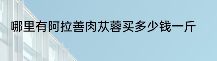哪里有阿拉善肉苁蓉买多少钱一斤