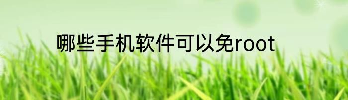 哪些手机软件可以免root