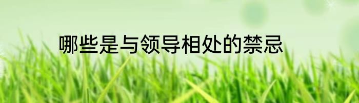 哪些是与领导相处的禁忌