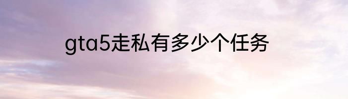 gta5走私有多少个任务